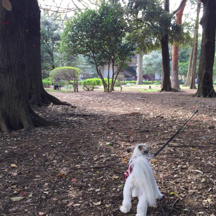 2e38a21d 2f00 438d a7a2 6cab2bfeae33