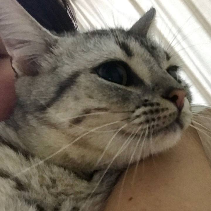 2e39596a 9d2f 4578 98d0 420dbaf907b3