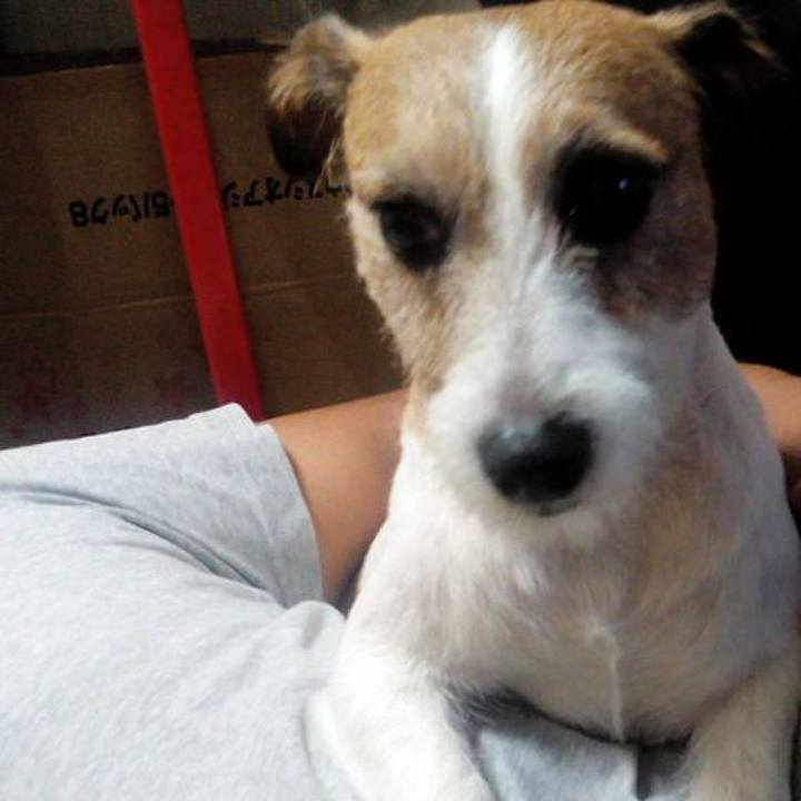 2e395fa0 b51c 4567 895f 636c1a654b7e