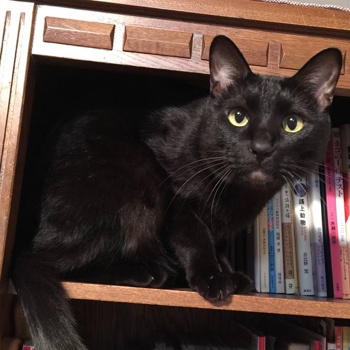 2e397223 d560 47b1 9082 7e502e728cdf