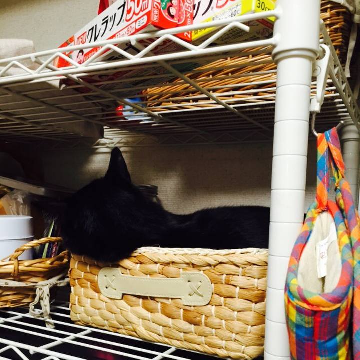 2e399435 f566 43a7 bb64 c8879f8503c8