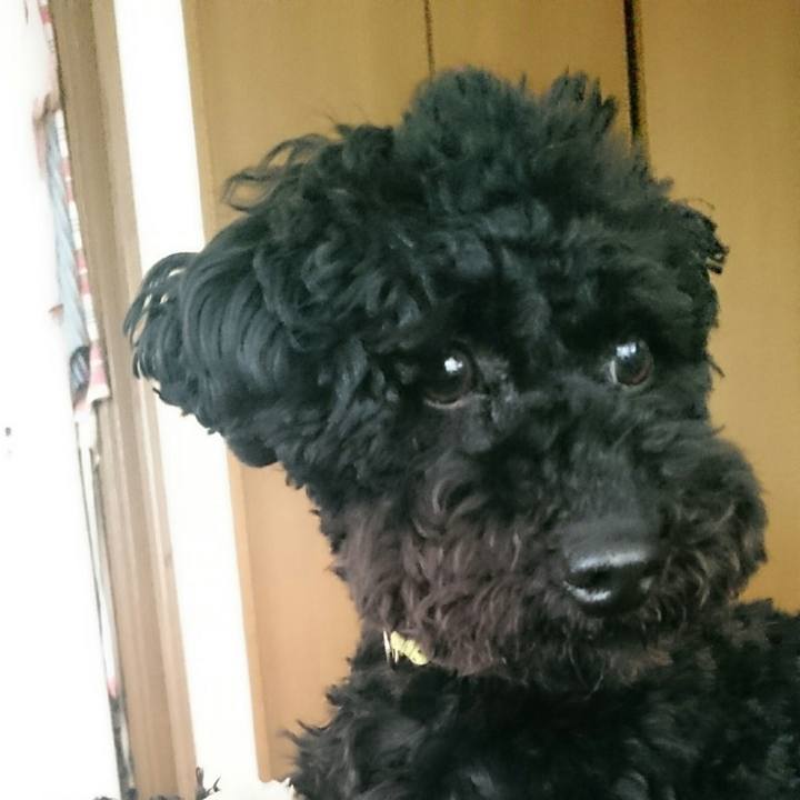 2e39b109 9449 4832 9a0a 78dcb328e2c5