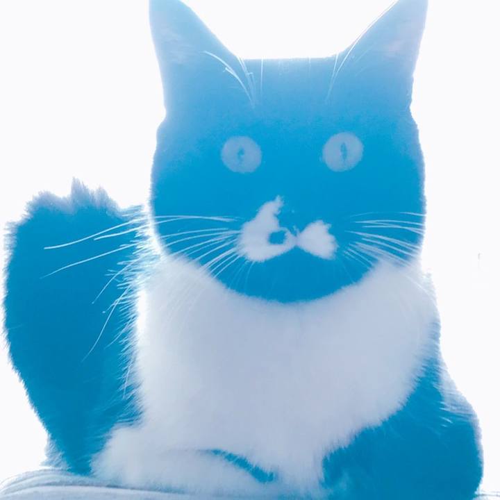 2e39cb77 0b1f 4a03 8c4e 17200cff474b