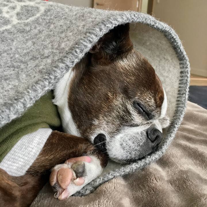 2e39e01b a28e 4a96 bb45 34641dbfd25d