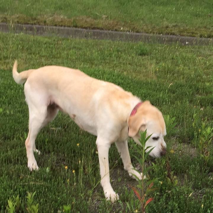 2e3a18ee 1bdb 441a 9feb 1e48dcb42353