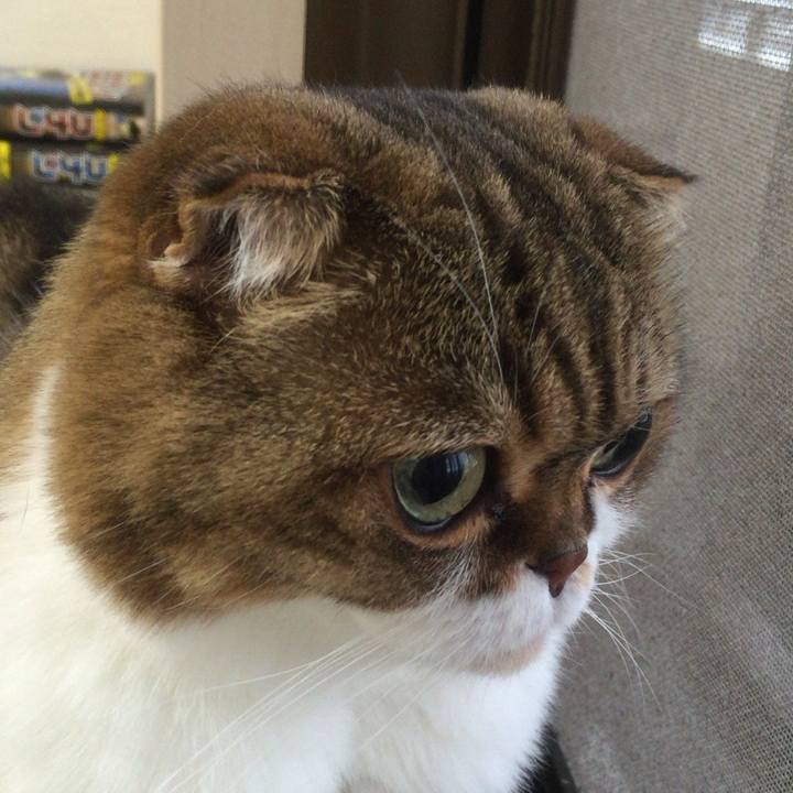 2e3a3272 0ec7 482e b26e fbd673a5db81