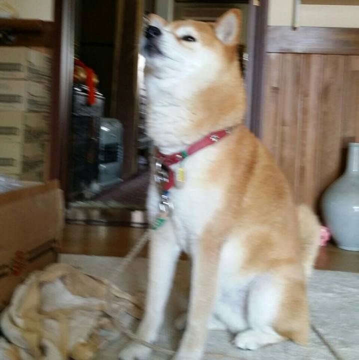 2e3a38cc b7e8 409d acec ea0374979053