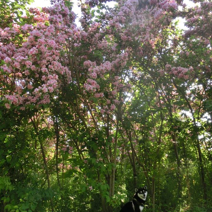 2e3b4cba 91a2 4dfa 8a28 4f7f4c70ecbc