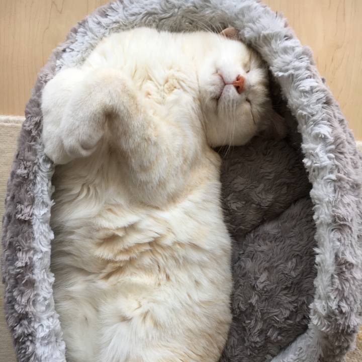 2e3b93f8 ebd2 4f1c a56e 08c48382e96f