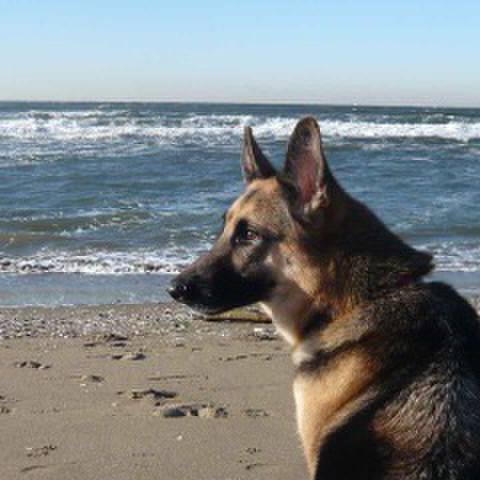 2e3bcda1 0f0d 41a2 a8ea e97287b9bde8