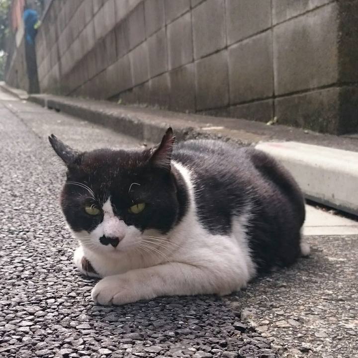 2e3c6144 3a1b 426e 8548 19dcbc739f28