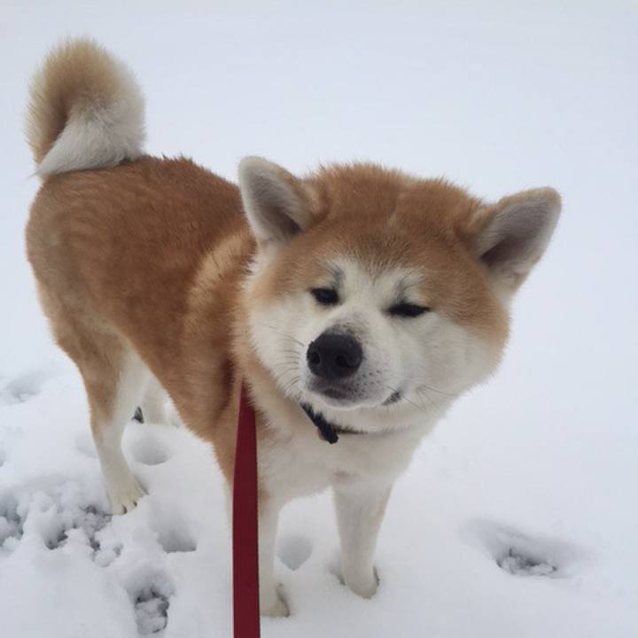 2e3c63e7 4034 4a6d 9b91 53cdf44662c6