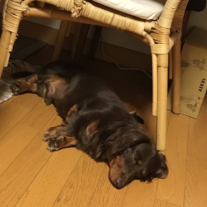 2e3cc01d 6b27 433f ac68 1cb7b3d10790