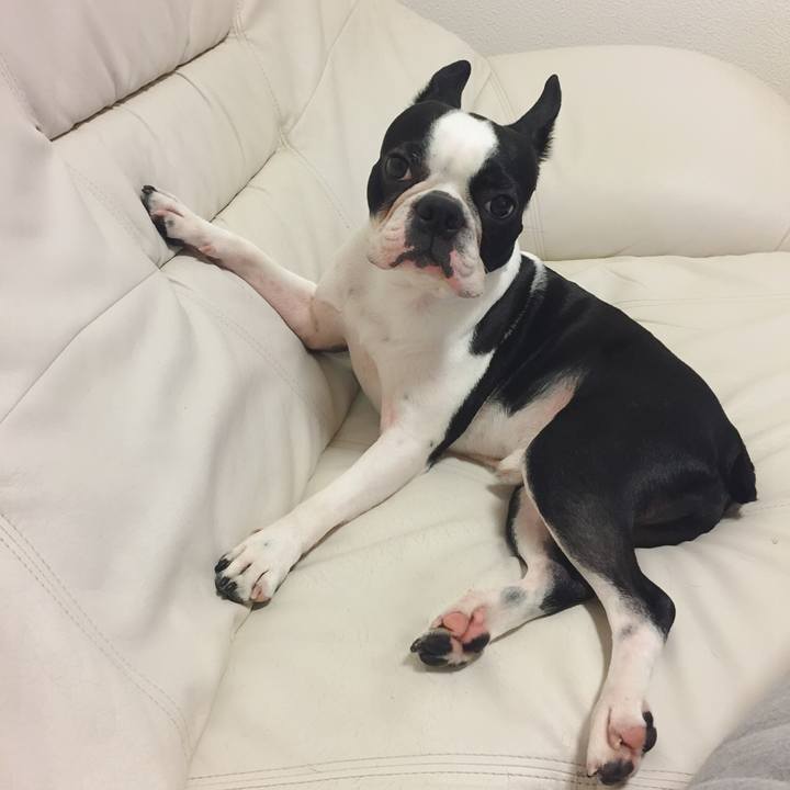 2e3ce108 7658 443d 87e6 b911d29f19c7