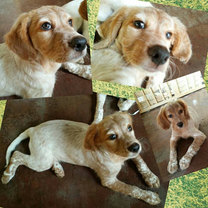 2e3d00b6 ab22 4c53 a538 59fa88cccc68