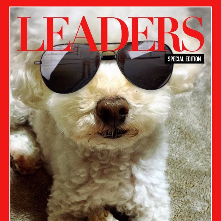 2e3e9735 b45b 4690 8e8e e8fbc5e03f2e