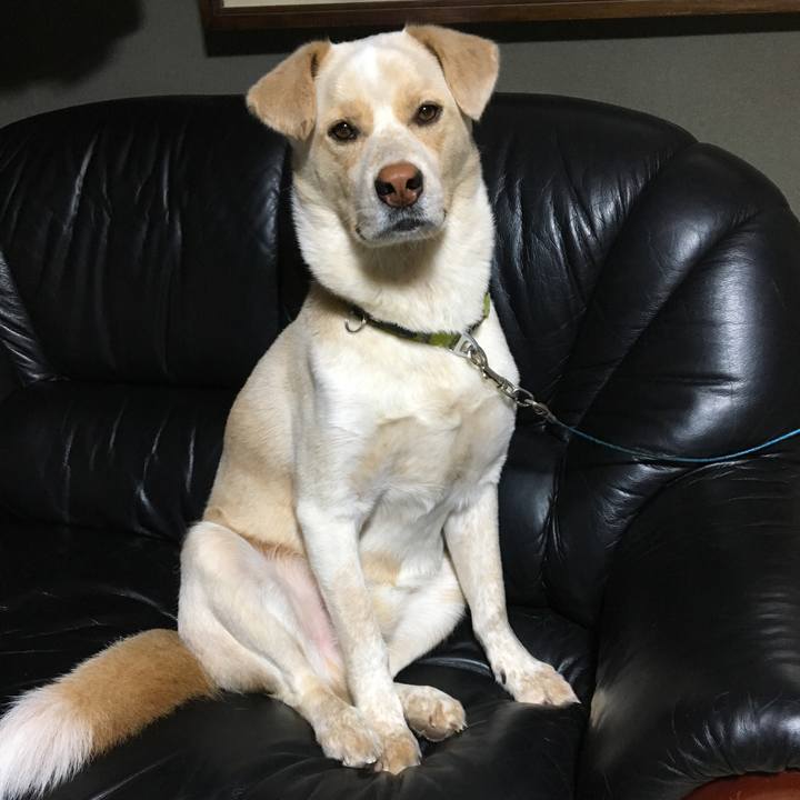 2e3efd69 9fad 4e2d 887e 7dead326c385