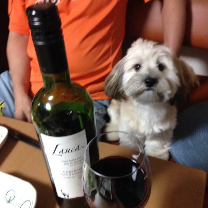 2e403166 01aa 4b5d 8448 f21fcf13ff3a