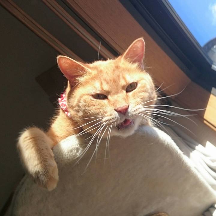 2e40a98c 7675 4e53 9d34 c4cc138b11c8