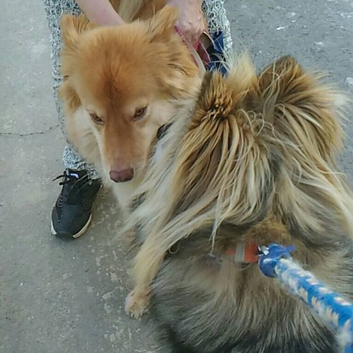 2e40b5fe 1889 4aea 8784 e3e0e14da9fe