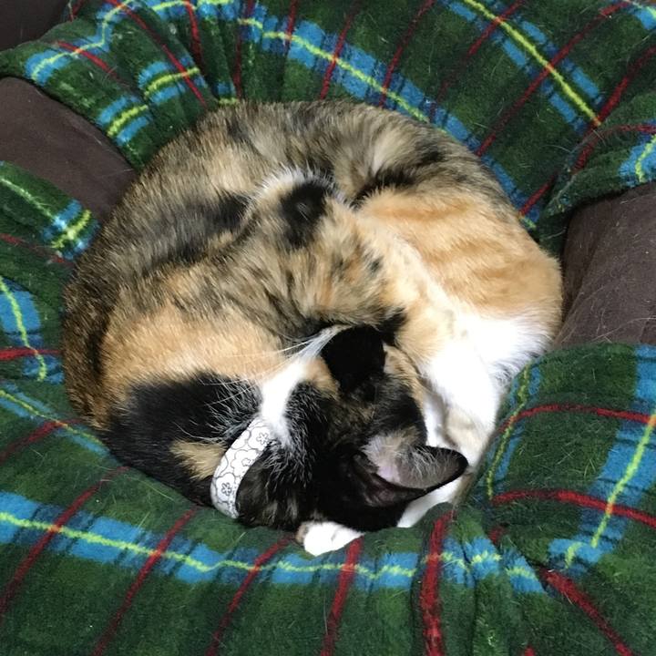 2e40f043 dffc 4d58 aca5 44e3a2e2725d