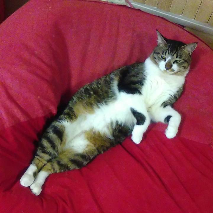 2e41181b 3bc4 4b20 bdd5 b0ede9b5e736