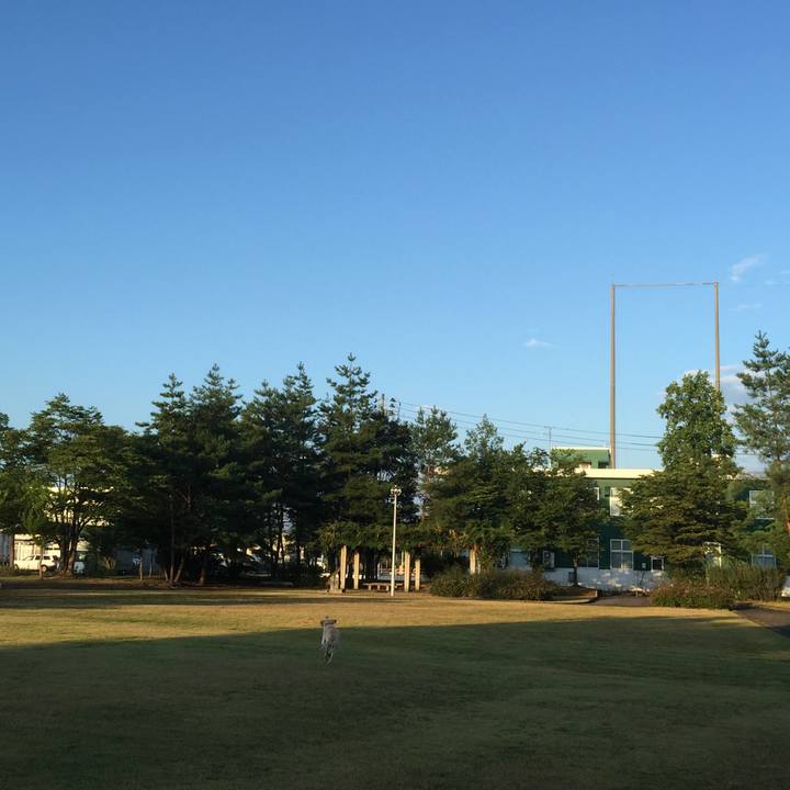 2e417ce0 0075 4b02 bb06 5adec6670f76