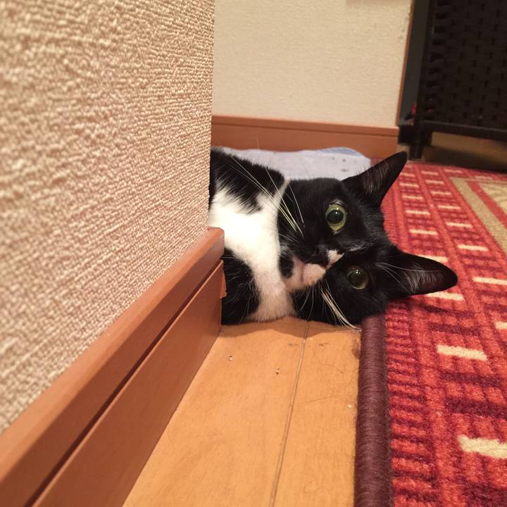 2e41cf70 8b6c 4d52 bbb5 b46b5ada0a9d