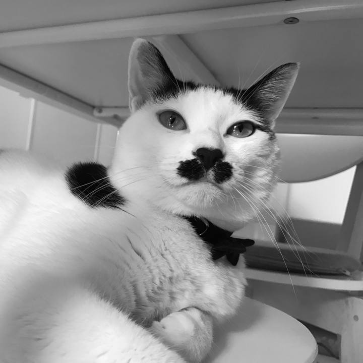 2e426374 13fa 4849 9c65 835e2ed85ff9