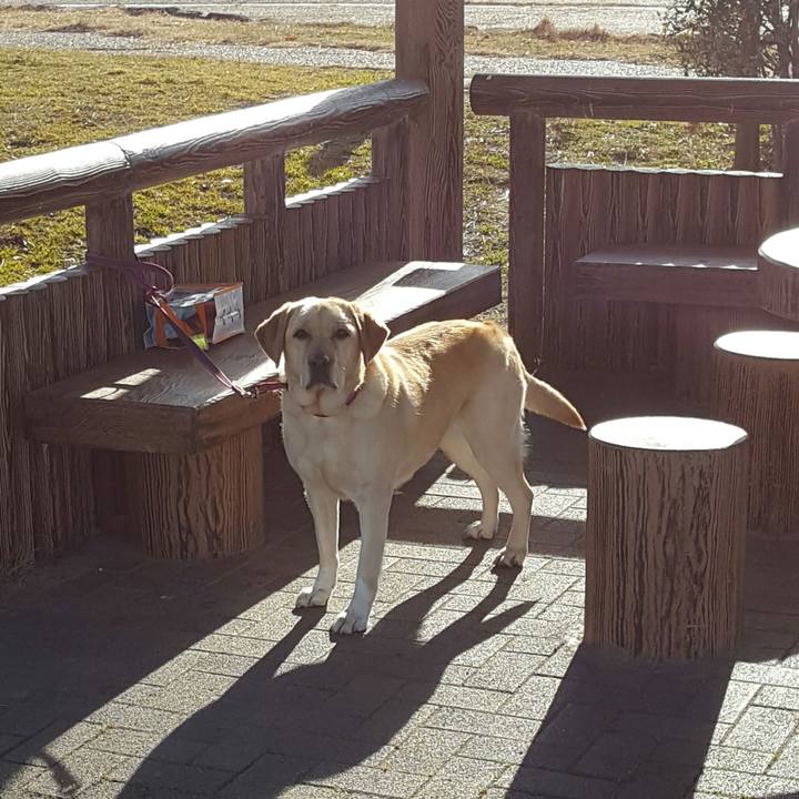 2e429a48 1dea 45c7 8a41 b81ce23b6dab