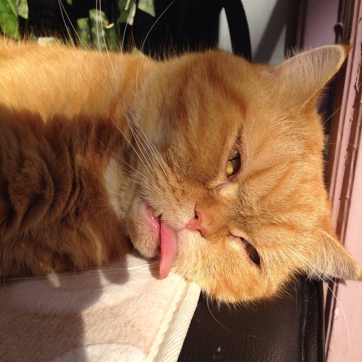 2e42c25b 283f 4a41 8ecb 6df9576a4d4e