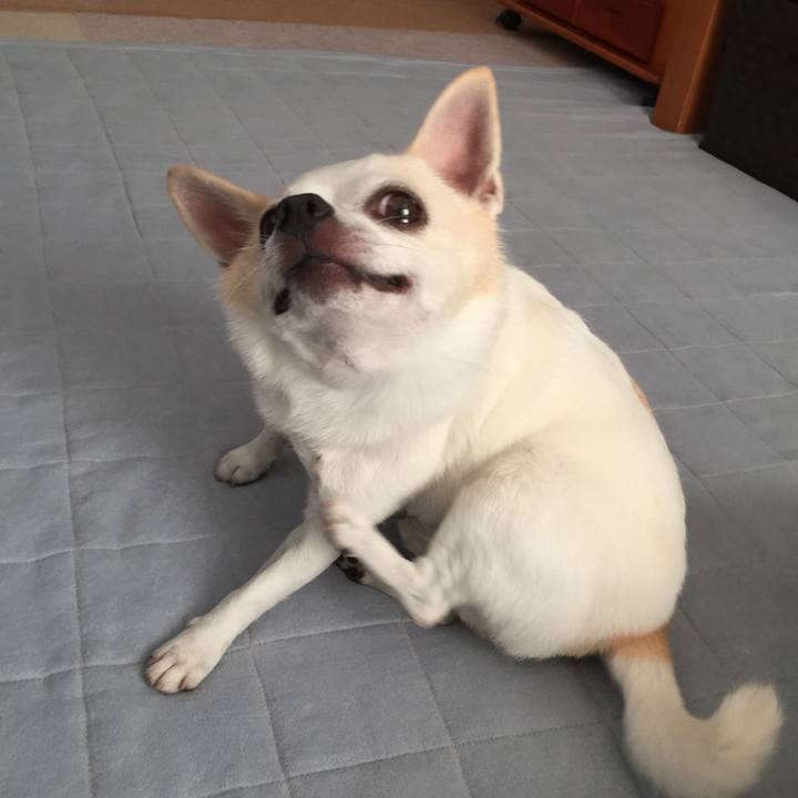 2e42e9e7 998a 4f6e b200 1f2f0e5d87a0