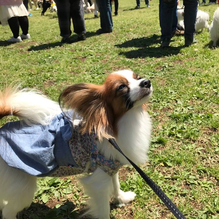 2e430af6 eb8c 4fd6 ab24 7b7a55b59f89