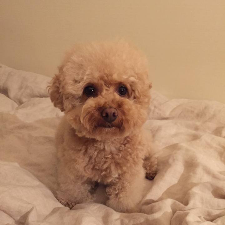 2e436802 3949 43ca 88f5 2569d60eec8e