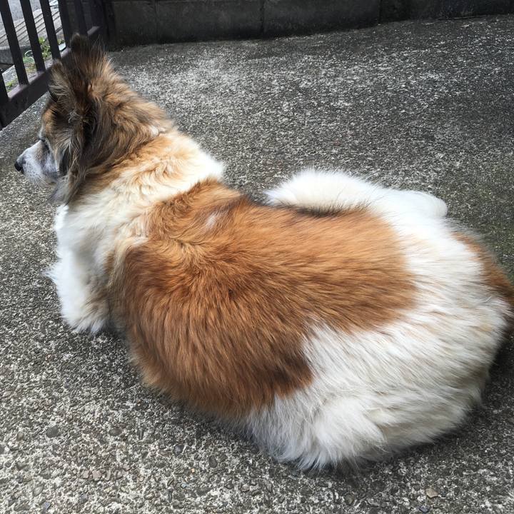 2e44db1f fe50 4d77 b1f6 6faff2958bb2