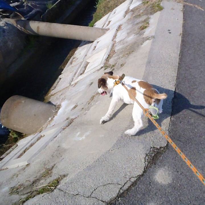 2e44ec3b 3dac 45af 9deb 57bf79e05552