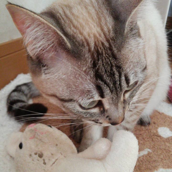 2e457145 5b42 4271 9b29 62db7cde94ae