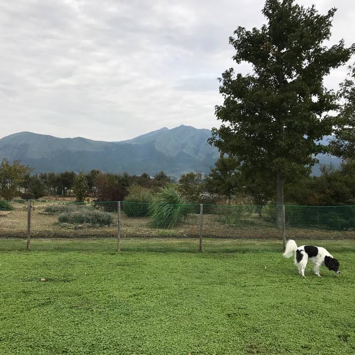 2e459e8f a001 403d baba 78be4a7835b8