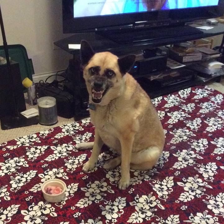 2e45a183 3d09 4bbe a321 c2a20eeea778