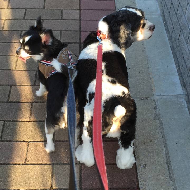 2e4677f8 8f1b 4a88 85ed f587f4bc9b25