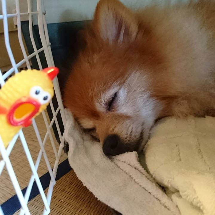 2e46805f 8c17 48a7 ae41 56da059361aa