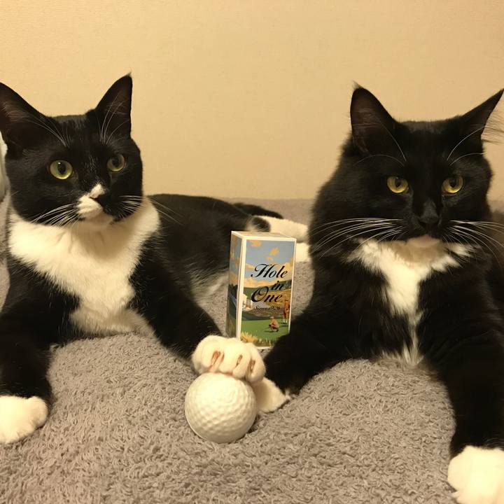 2e470140 3050 4438 900a 868c9845f9cd