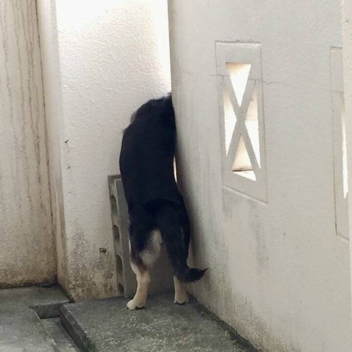 2e470539 9a62 497b 8499 3203babb9c5e