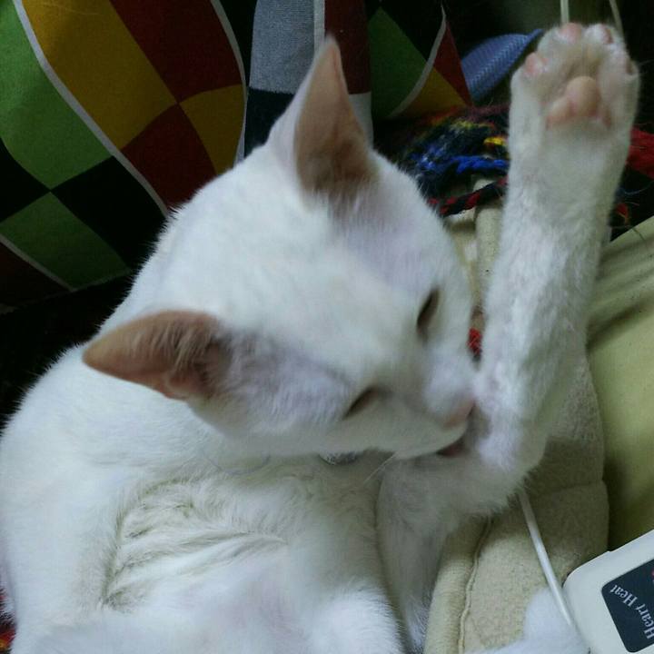 2e472a23 7c8f 4664 94bc 6e10e2d89a2d