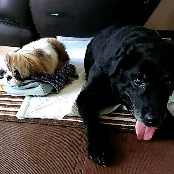 2e47792d d6d7 4c24 b9ff 81d242f77e78