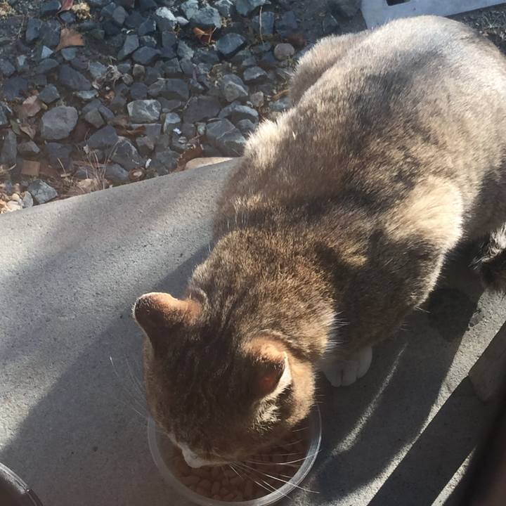 2e47b396 7d93 4272 8fa9 0f8bcf13e344