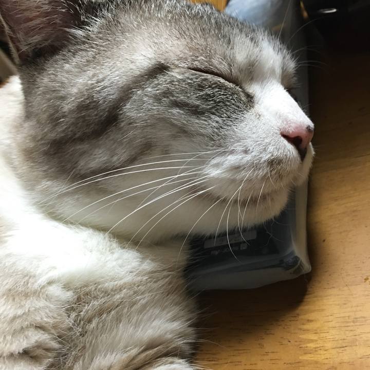 2e47c6ff f9e0 499d bde0 4e58d85f2379