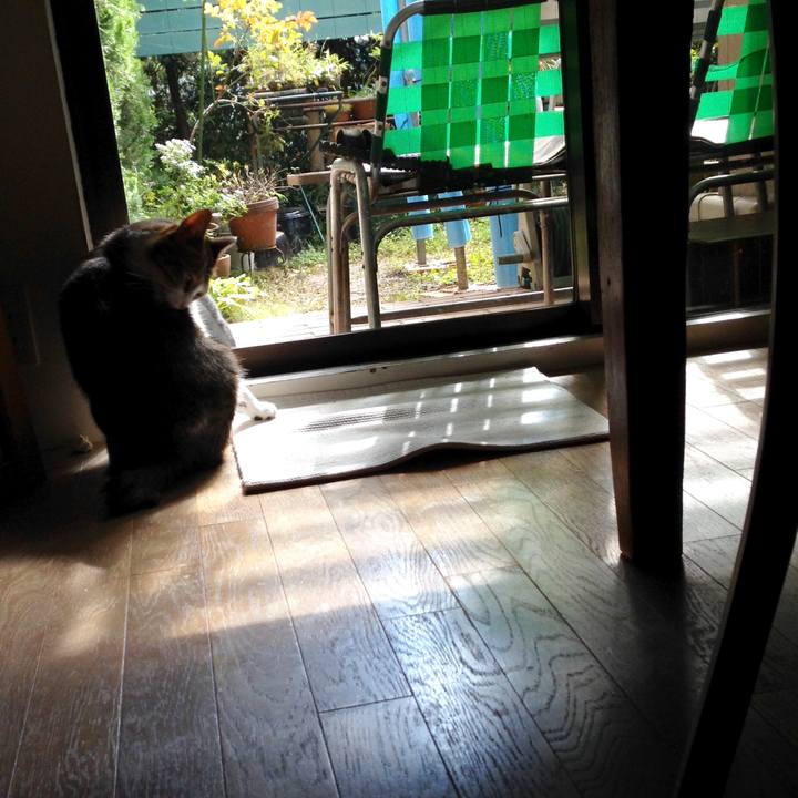 2e481df5 54b1 4033 a70f f6021bf77b66