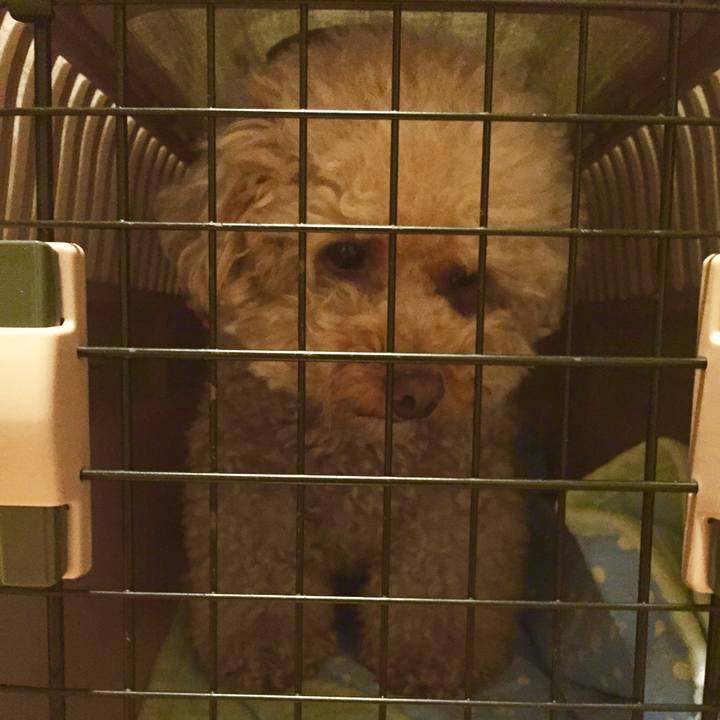 2e484f00 20b9 441f b205 ec75c78c7a65