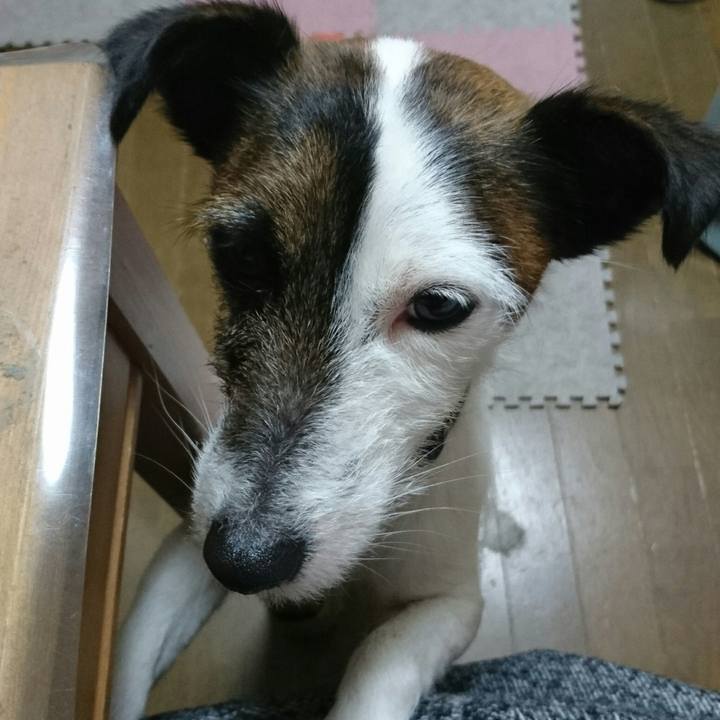 2e4970e1 8286 4a5a a872 28d3fd8b3ece